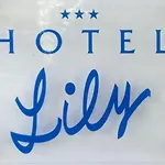 Lily 비비오네